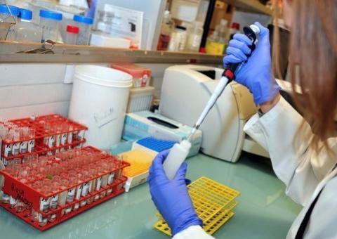 Novos avanços contra o melanoma, o mais mortífero câncer de pele